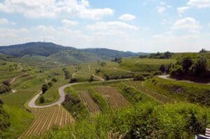 Mehr über den Artikel erfahren Vulkan Kaiserstuhl – Ein Vulkan in der Oberrheinischen Tiefebene